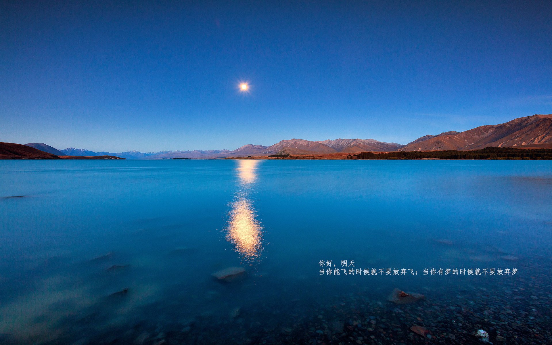 意甲激烈竞争,球员分享心路,意甲队伍