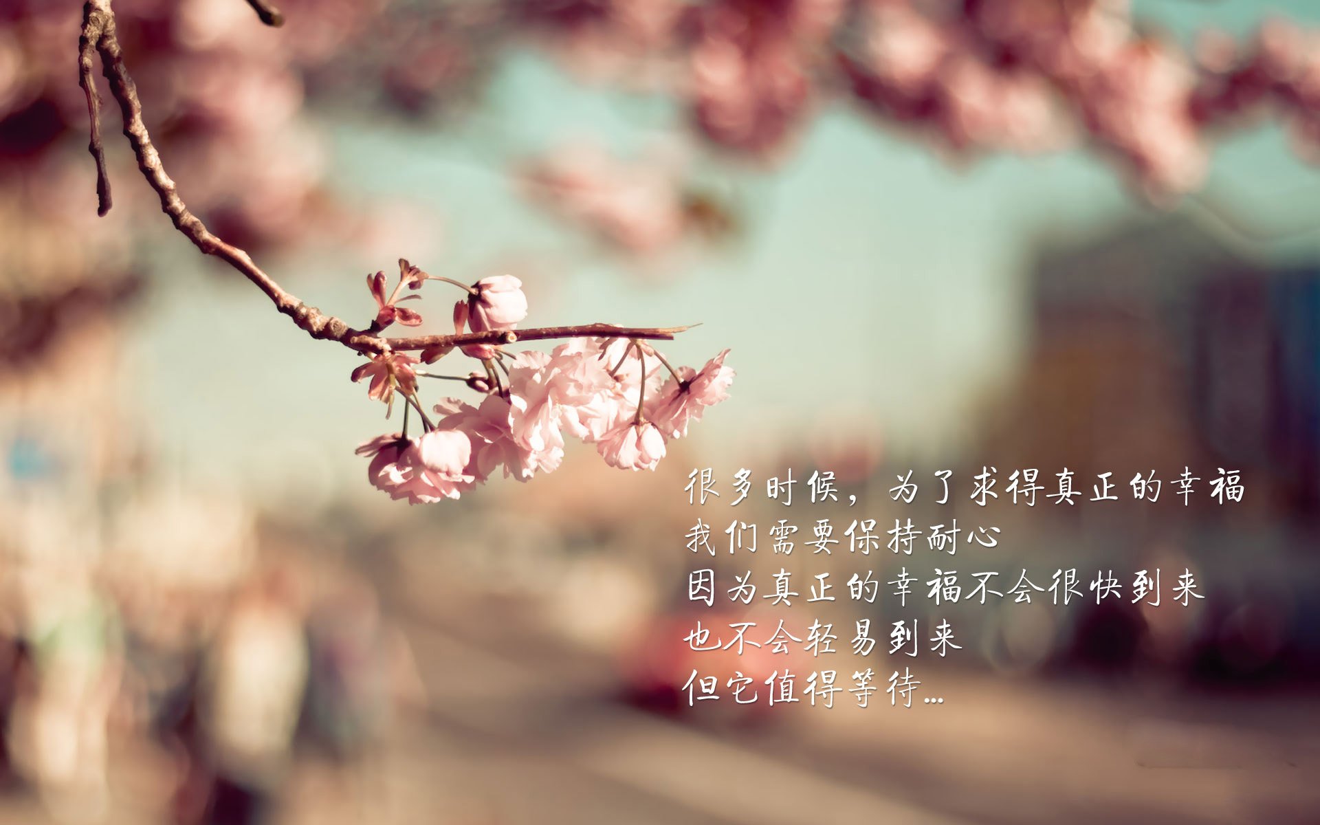 战术盛宴:顶尖团队的多变战术体系解析,多变战士