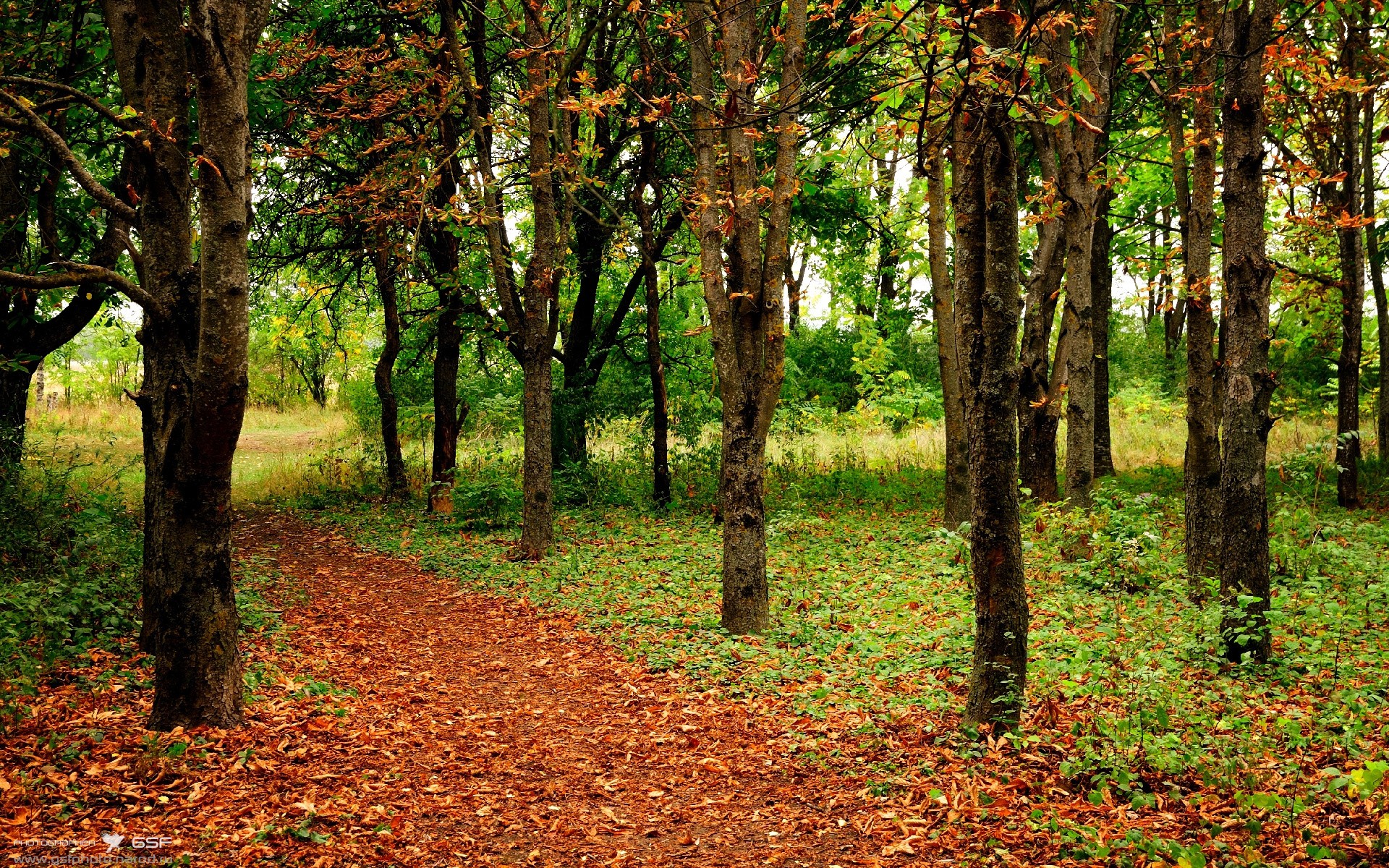 体育防线稳固，球队表现稳定，体育防线稳固,球队表现稳定的原因