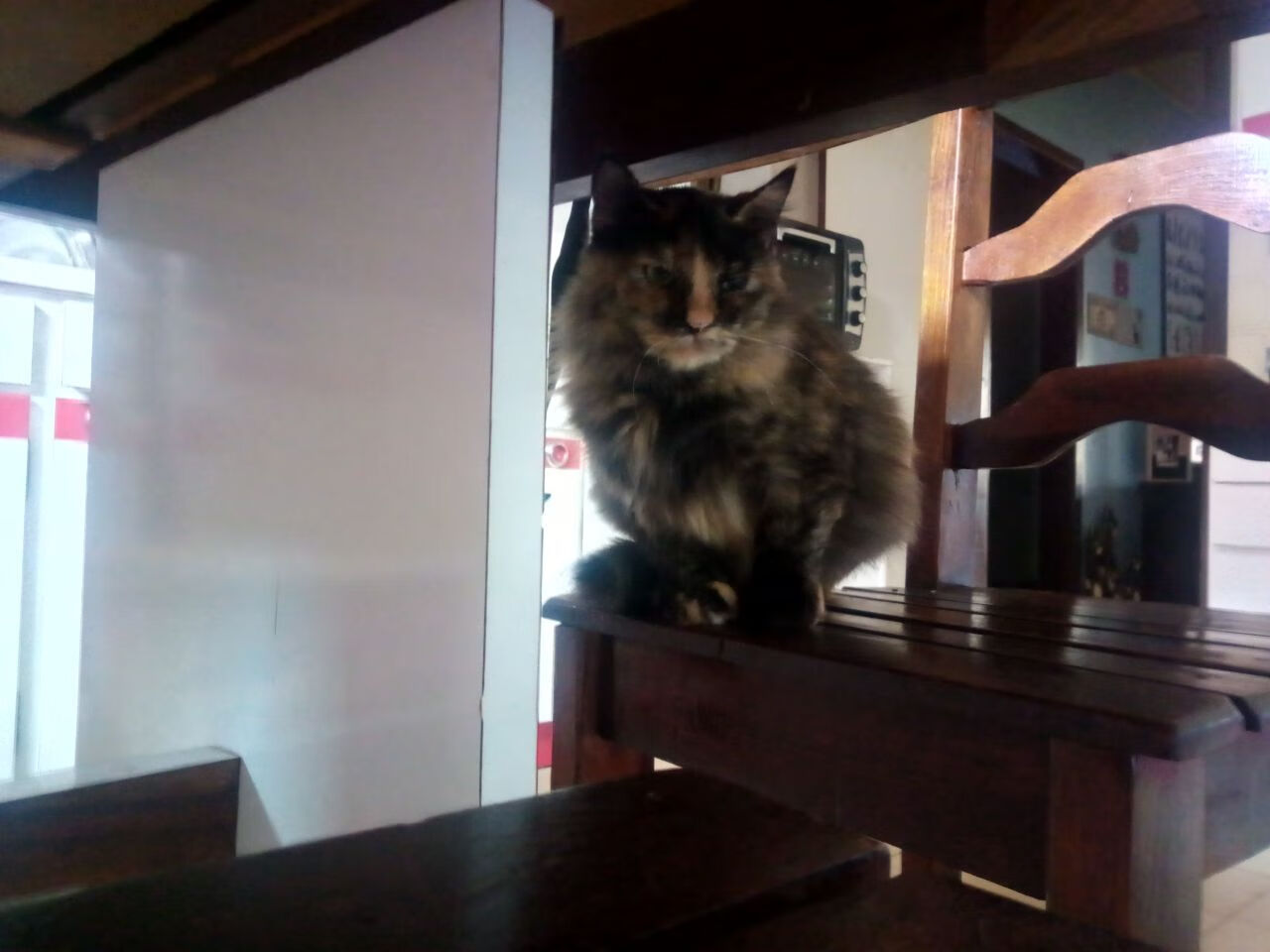 北爱尔兰队员团结一致,共同迎击挑战,北爱尔兰联赛