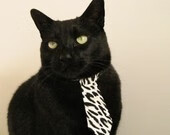 国家队篮球技战术研究进展，国家篮球发展