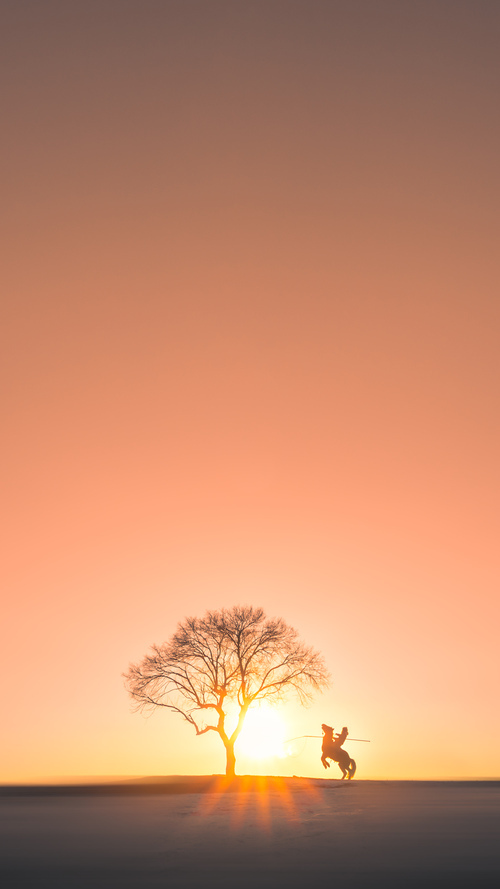 多特蒙德客场3-0战胜云达不莱梅，豪取七连胜，多特蒙德vs不莱梅预测