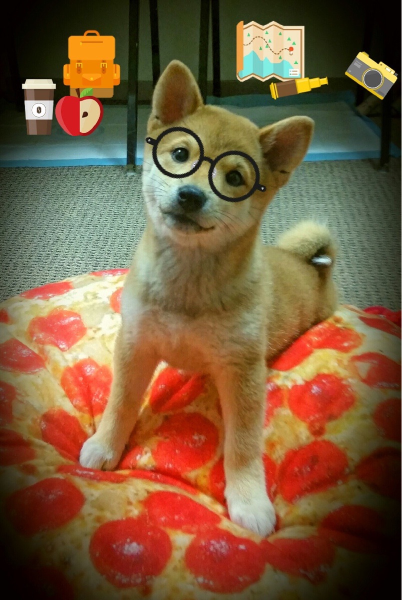 悬念丛生拳击世锦赛揭幕战出冷门，拳击世锦赛银牌得主