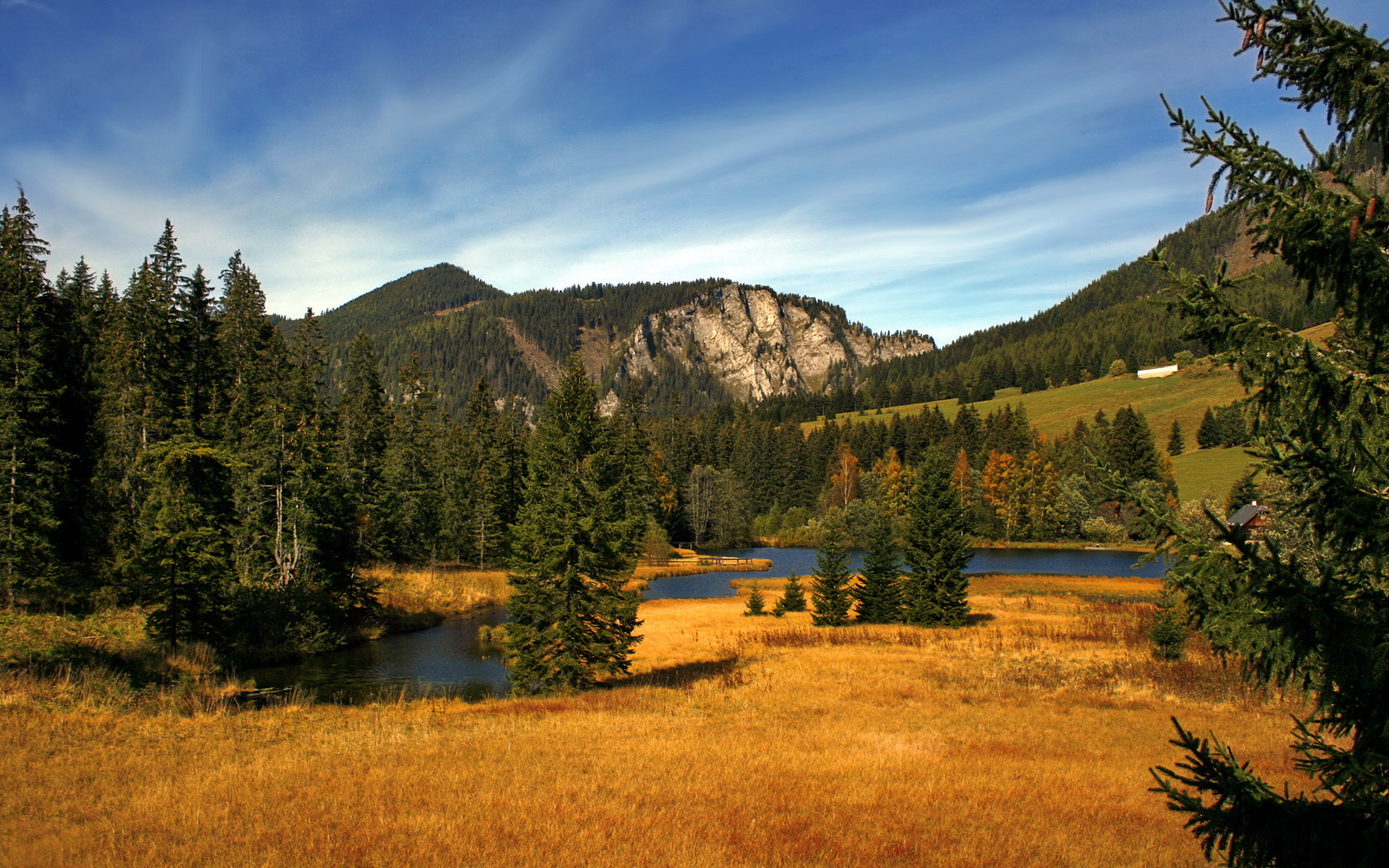 热火队球员合力表现 全队战绩持续稳定,热火队的阵容