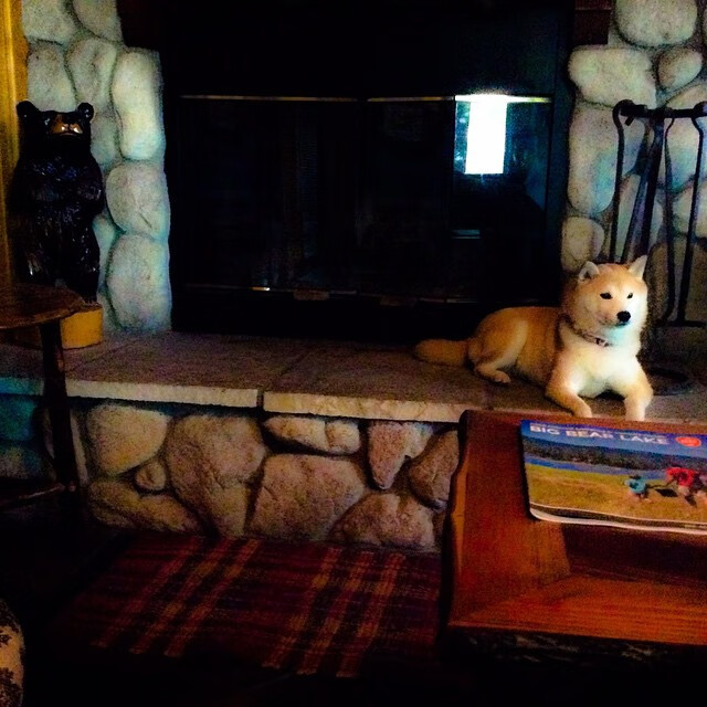 NBA联盟赛事安全管理体系的完善与挑战,nba联盟健康安全协议是什么