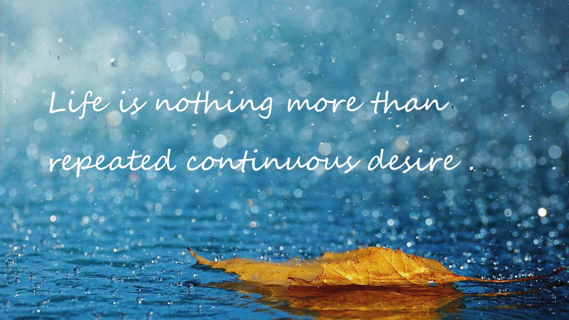 篮球运动员训练负荷动态监测及科学调控系统开发与应用,篮球训练负荷强度