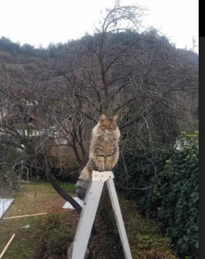 广东队内部气氛和谐打造积极竞争环境