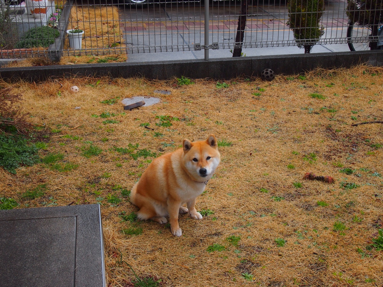 青少年球员身体指标评估标准不统一，青少年体能评估表