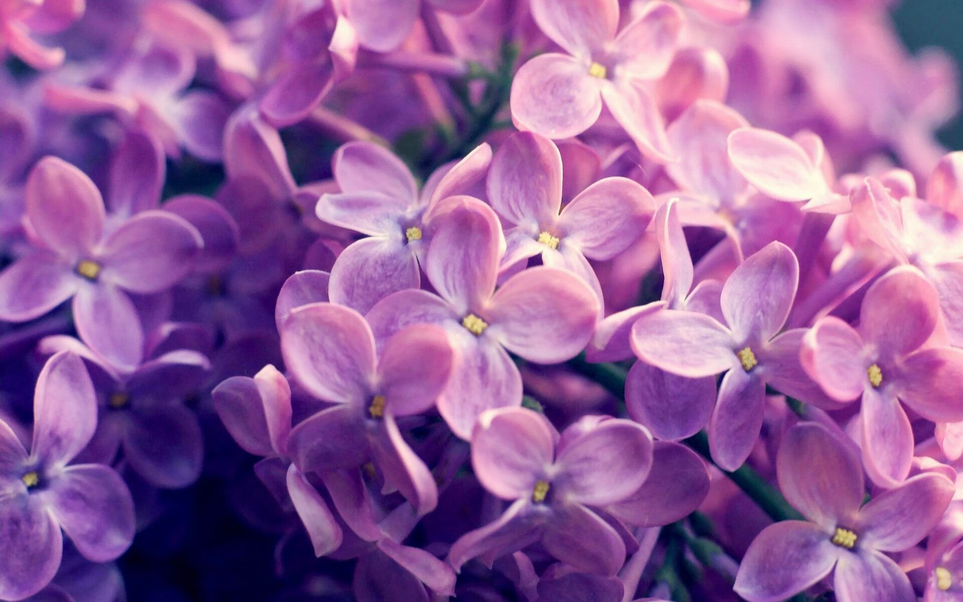 马拉松赛前营养指导课程受选手欢迎，马拉松赛前食谱