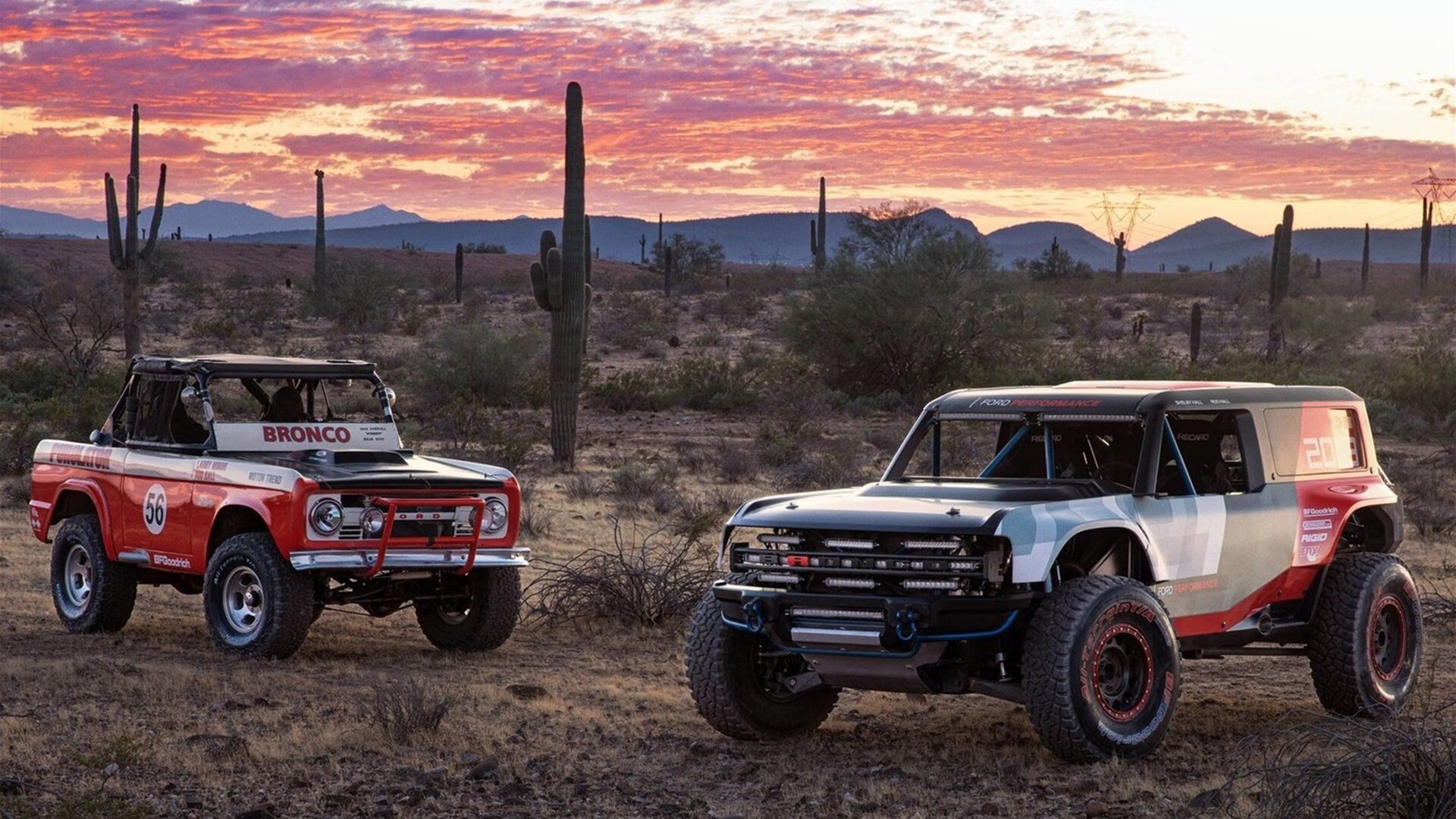 中国篮球打造专业教练培训平台提升教学能力,专业篮球教练培训多少钱