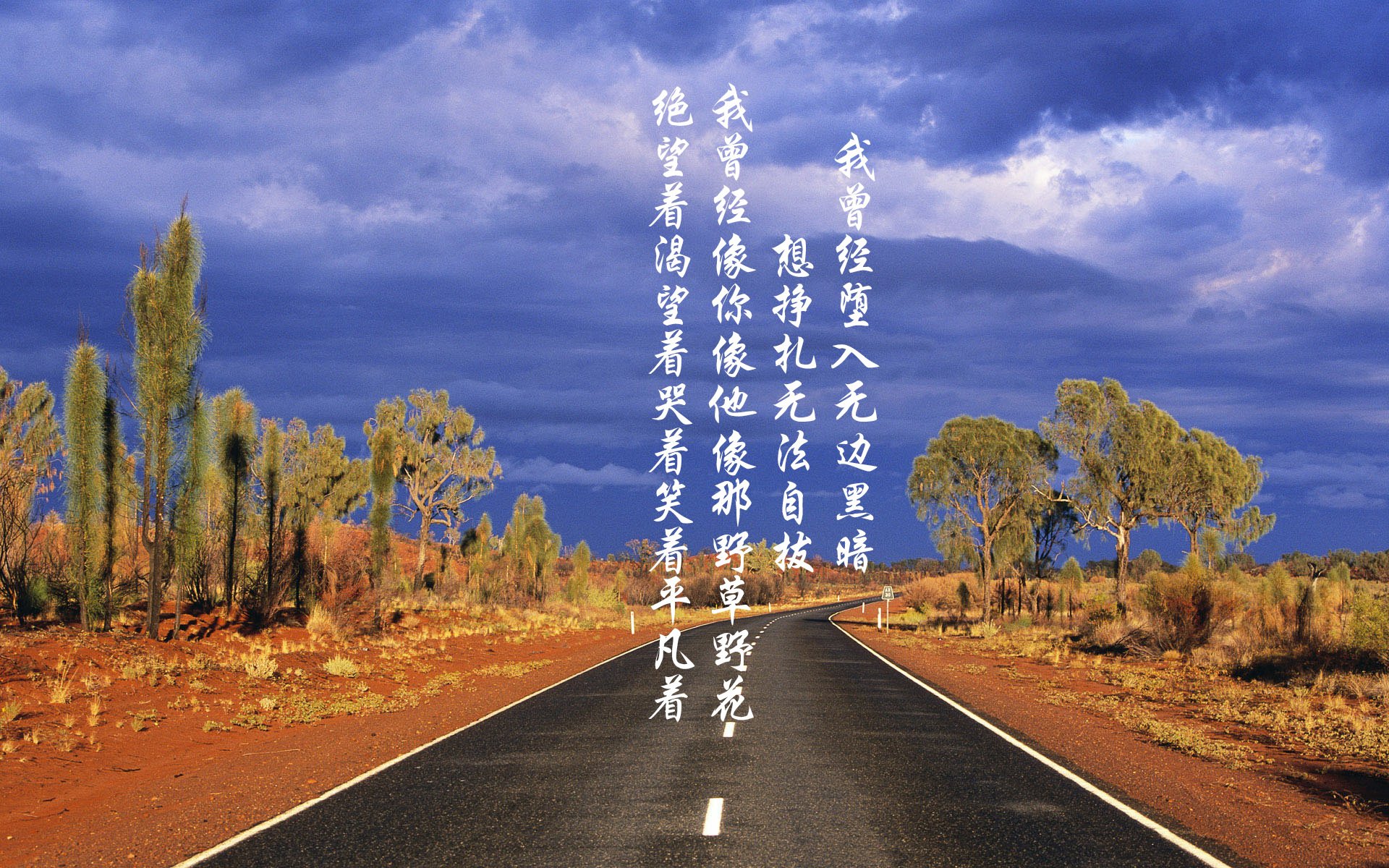 法甲未来之星：新星闪耀，未来可期！，faf未来之星