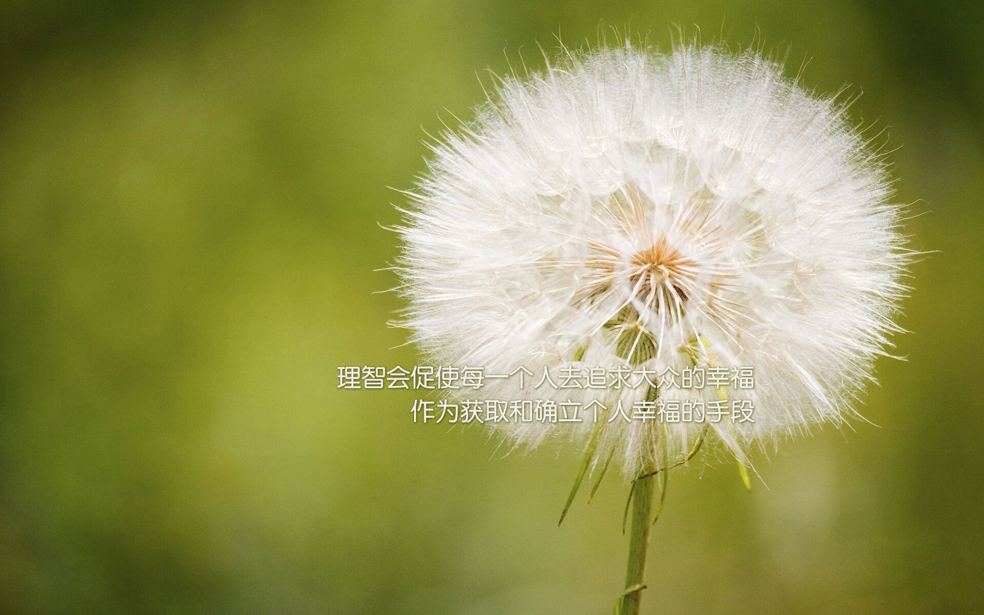 球队保持高压状态通过中前场反抢打出持续压制型比赛节奏，进行高压时,击球点靠后会容易造成