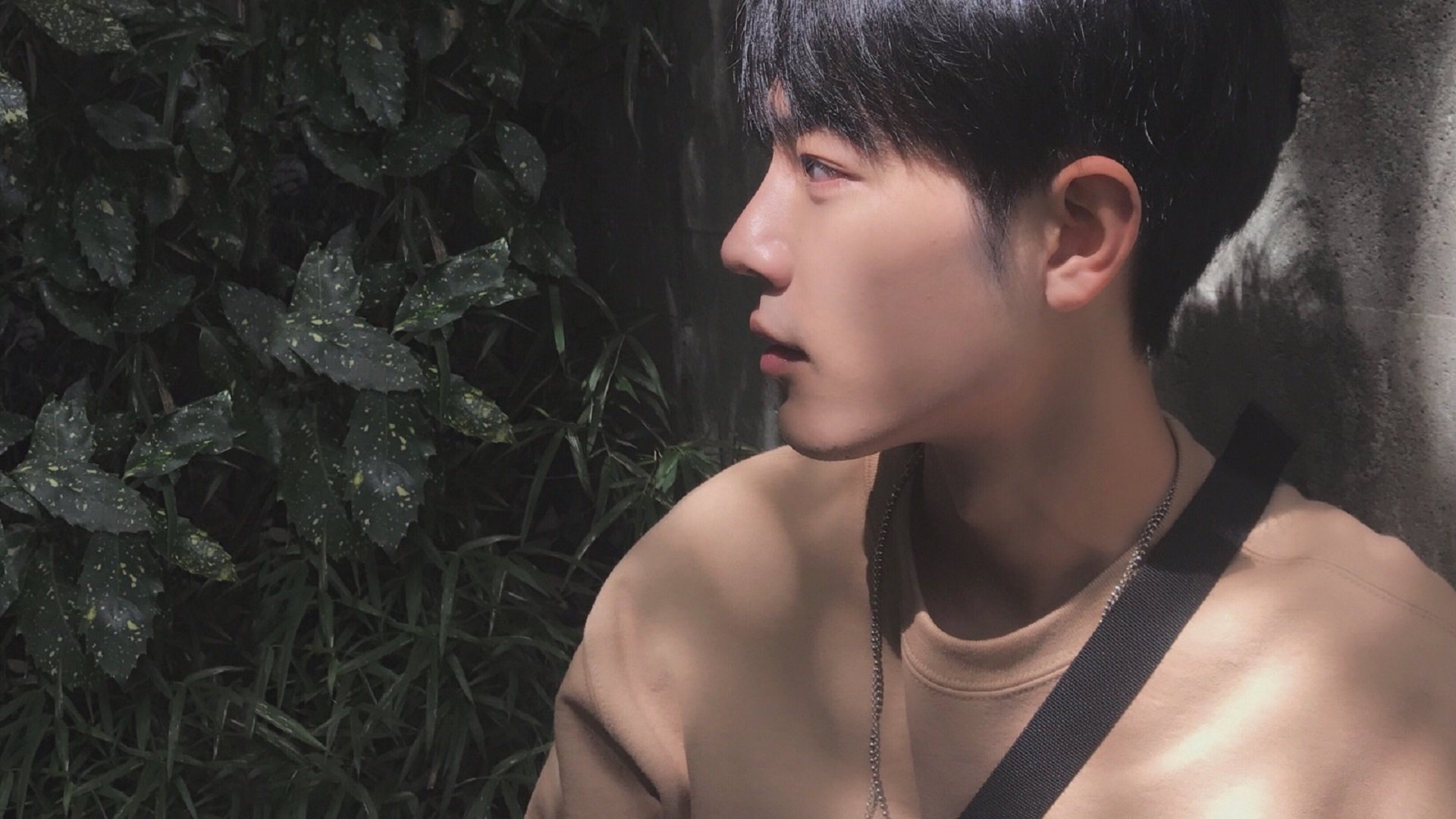 裁判管理系统上线全面提升赛场执法透明度与统一标准,裁判员管理官网